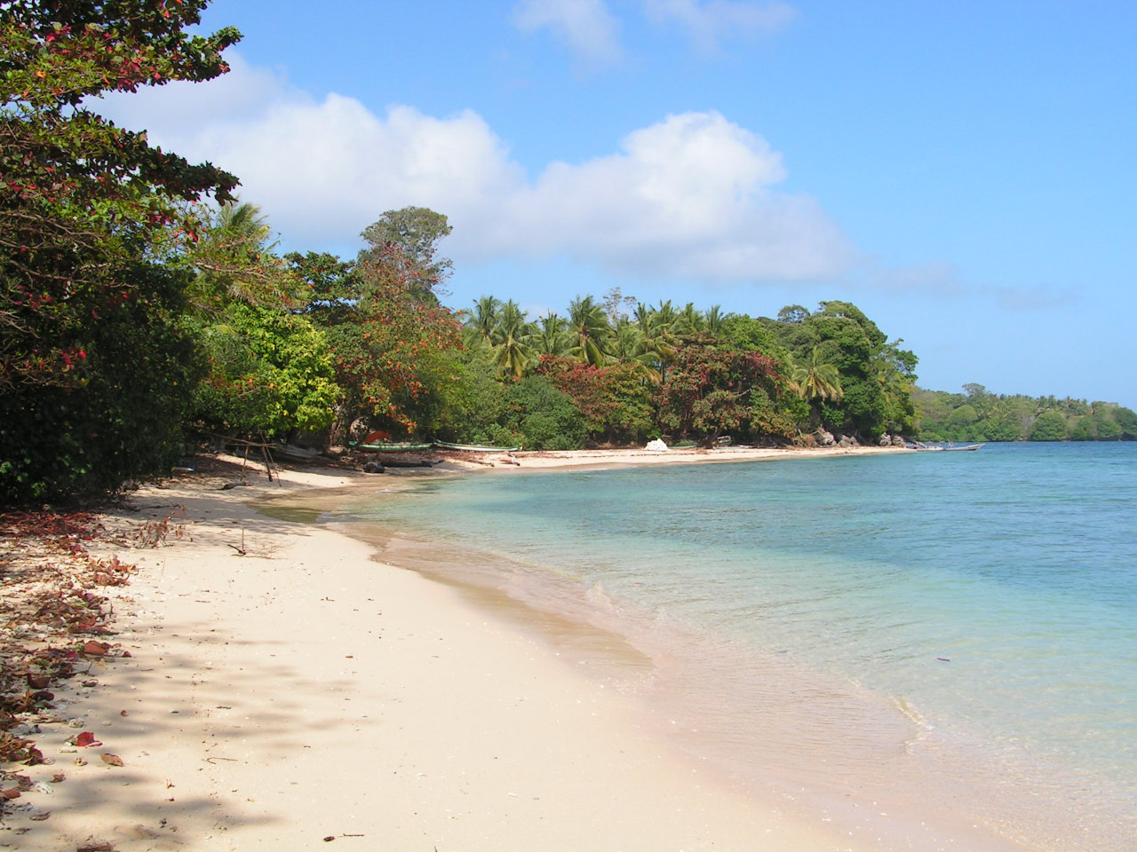 plage idyllique aux îles Banda (Moluques)